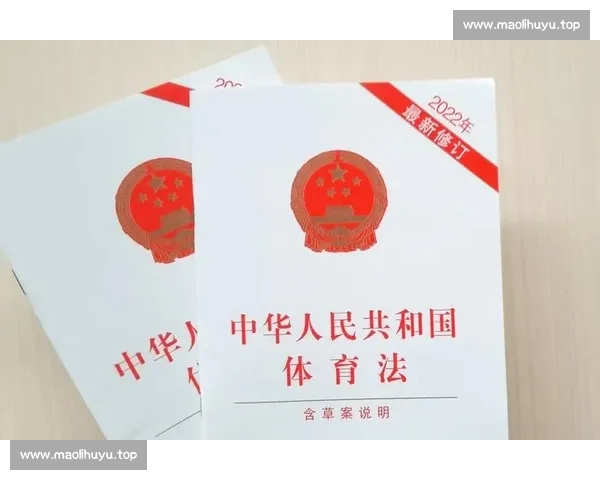 综合体育官网全新升级一站式资讯服务尽享赛事数据与精彩分析